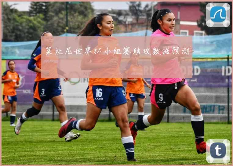 莱杜尼世界杯小组赛助攻数据预测