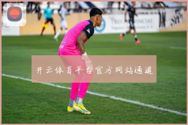 开云体育平台官方网站通道