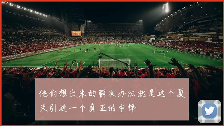 他们想出来的解决办法就是这个夏天引进一个真正的中锋