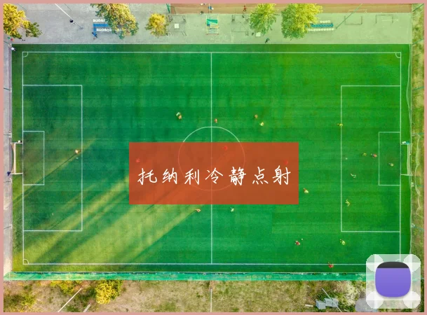 托纳利冷静点射