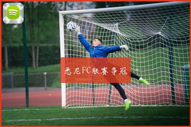 悉尼FC联赛争冠