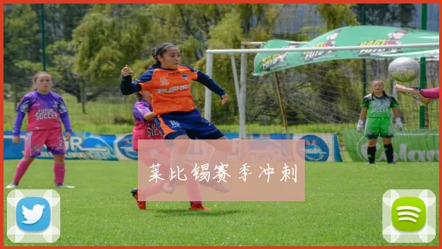 莱比锡赛季冲刺