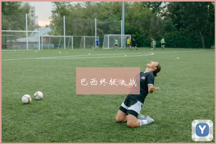 巴西终极决战