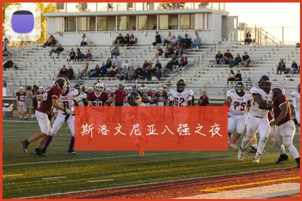 斯洛文尼亚八强之夜