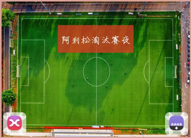 阿利松淘汰赛夜