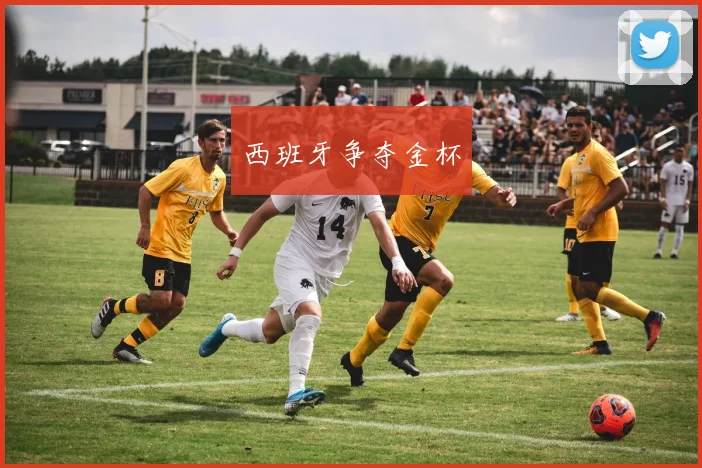 西班牙争夺金杯