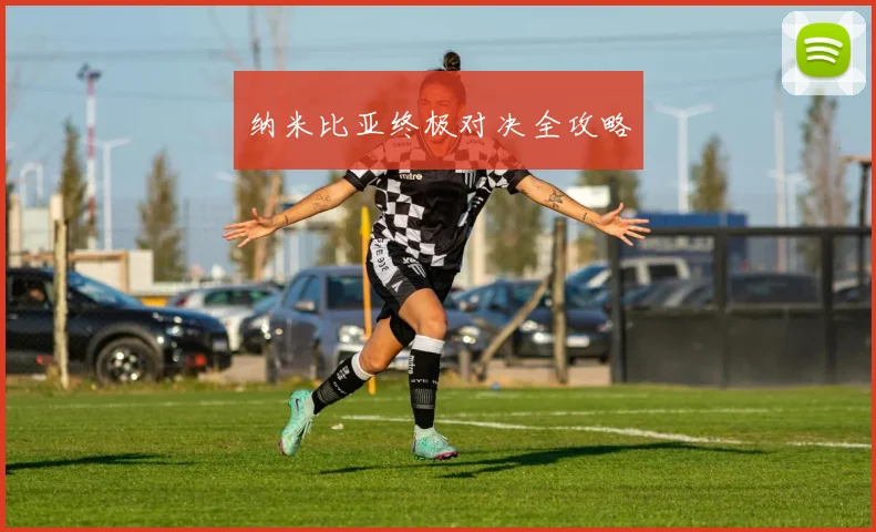 纳米比亚终极对决全攻略