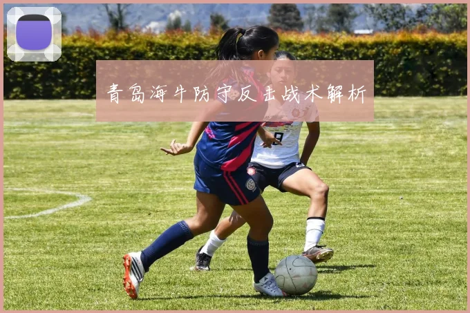青岛海牛防守反击战术解析