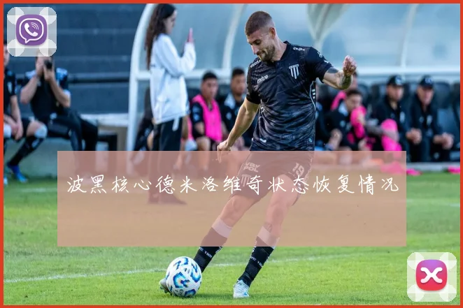 波黑核心德米洛维奇状态恢复情况