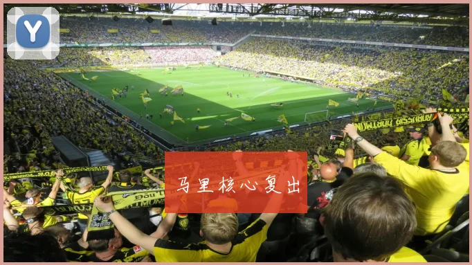 马里核心复出