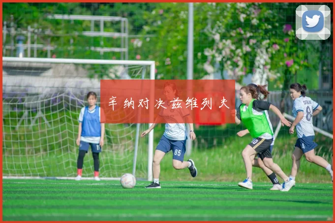 辛纳对决兹维列夫