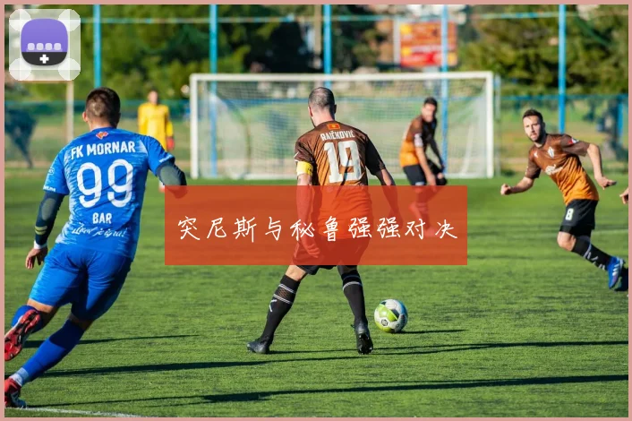 突尼斯与秘鲁强强对决