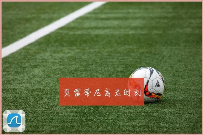 贝雷蒂尼高光时刻