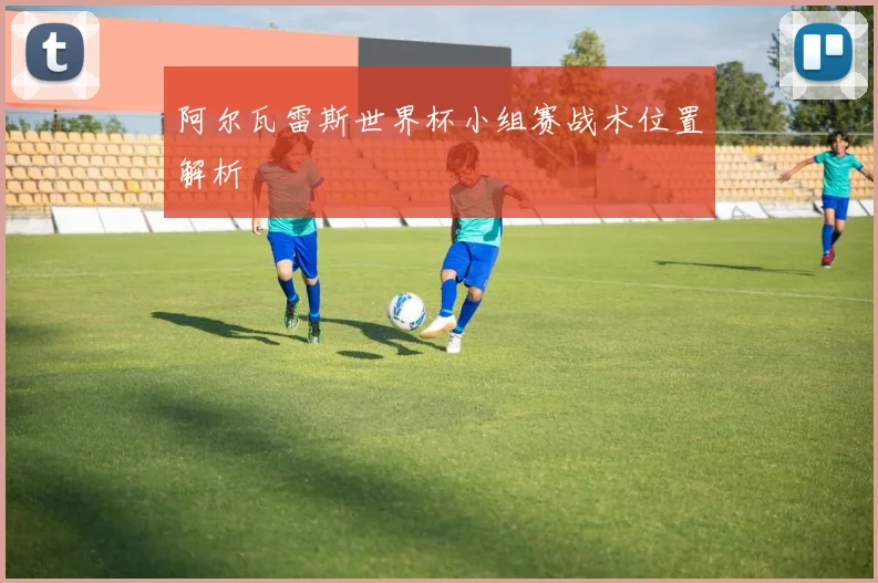 阿尔瓦雷斯世界杯小组赛战术位置解析