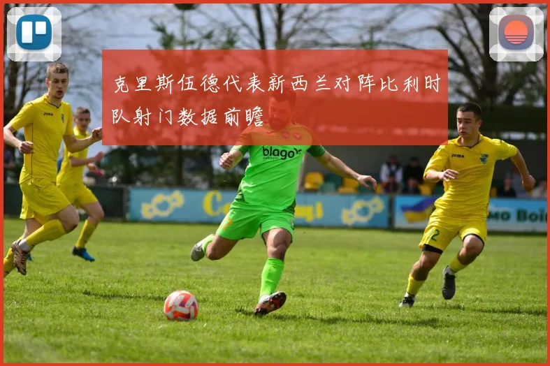 克里斯伍德代表新西兰对阵比利时队射门数据前瞻