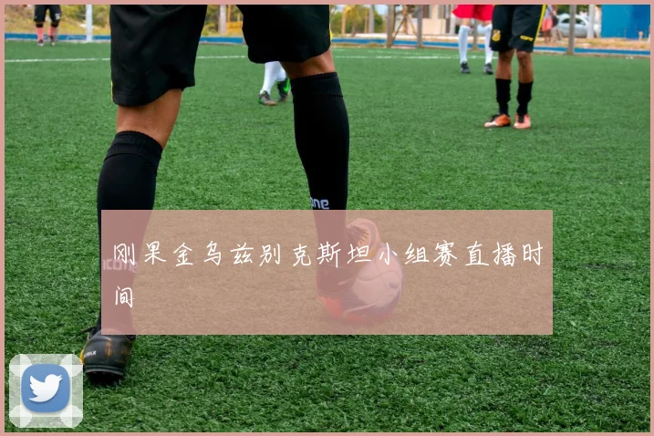 刚果金乌兹别克斯坦小组赛直播时间