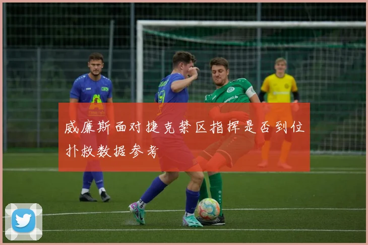 威廉斯面对捷克禁区指挥是否到位扑救数据参考