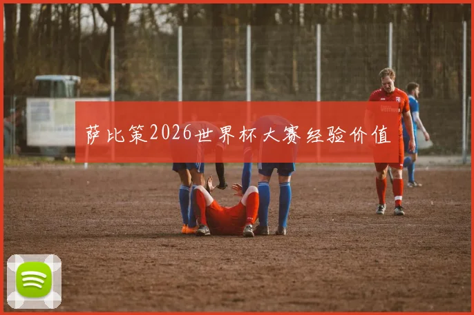 萨比策2026世界杯大赛经验价值
