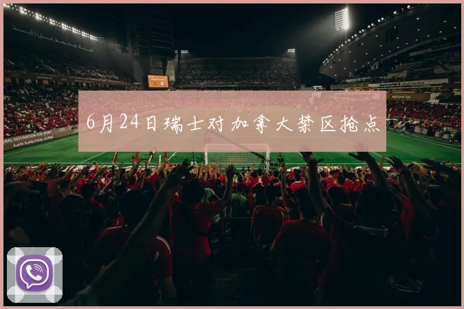 6月24日瑞士对加拿大禁区抢点